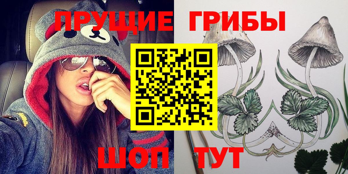 Псилоцибиновые грибы мухоморы Урус-Мартан